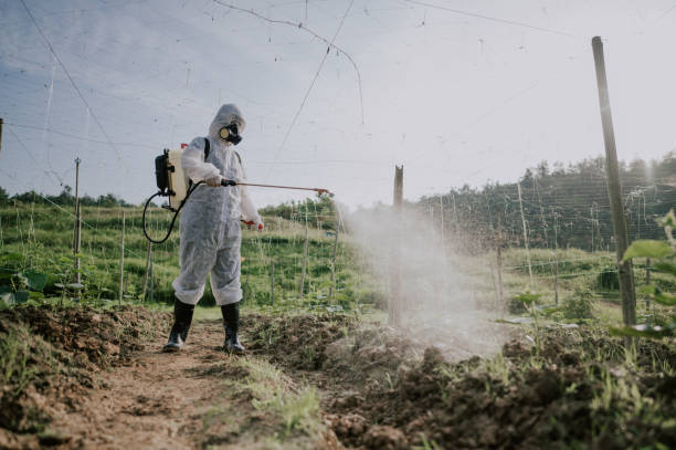 Best Ant Control Services  in Ponderosa Pine, NM