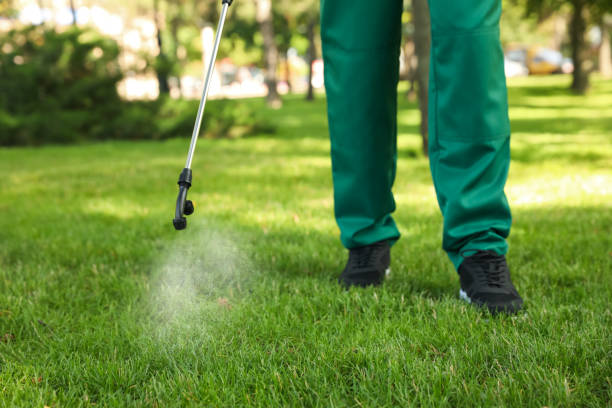 Trusted Ponderosa Pine, NM Pest Control Experts