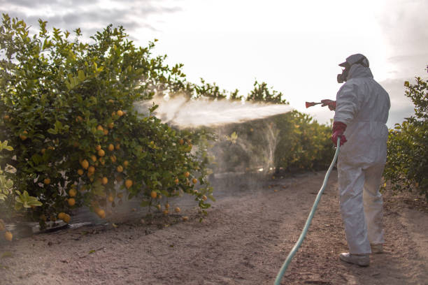 Best Pest Control Near Me  in Ponderosa Pine, NM