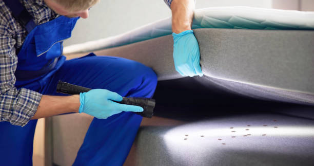 Best Affordable Pest Control Services  in Ponderosa Pine, NM