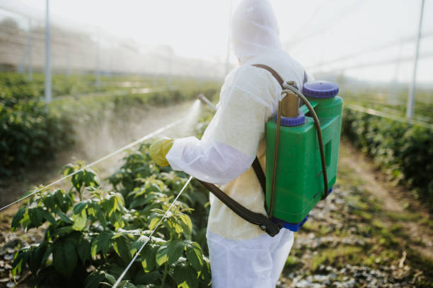 Best Mosquito Control Services  in Ponderosa Pine, NM